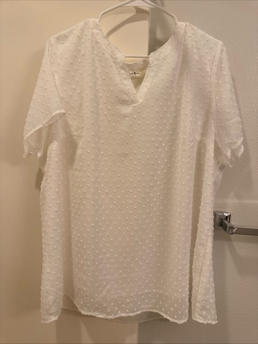 Agnes Orinda Women's White Swiss Dot Short-Sleeve Blouse